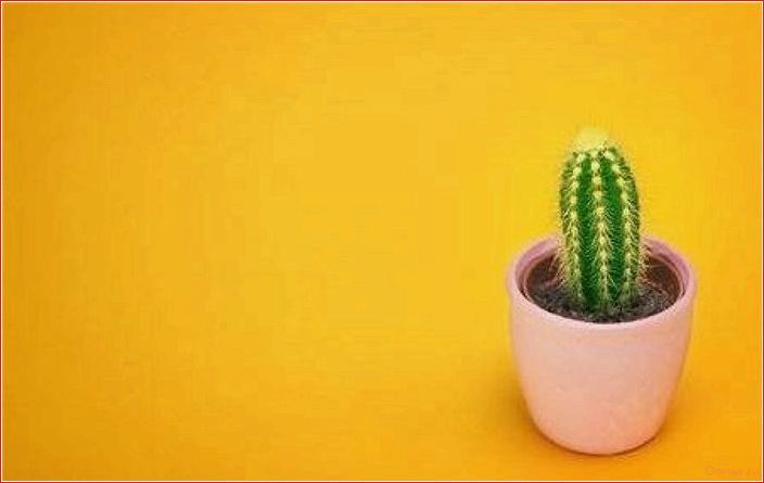 Как происходит эрекция у мужчин или утренний подъём и закат occurs, erection, men, morning, rise