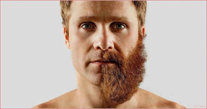 Какие бывают мужские интимные стрижки: отношение женщин men