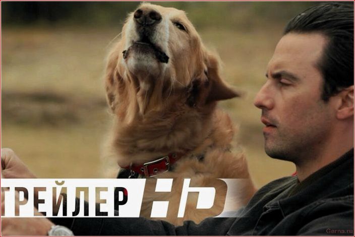 Русские и зарубежные мелодрамы комедии 2021 списком Russian, foreign, melodrama, comedy, 2021