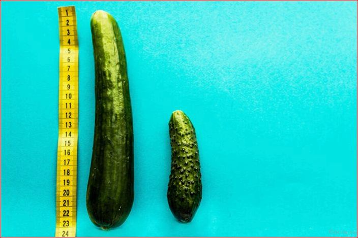 size, genital, organ, Asians