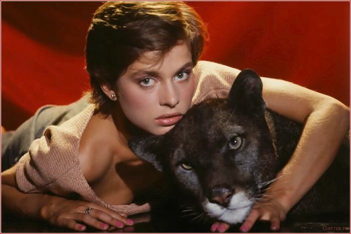 Beste Erotik-Thriller-Filme zum Mitnehmen