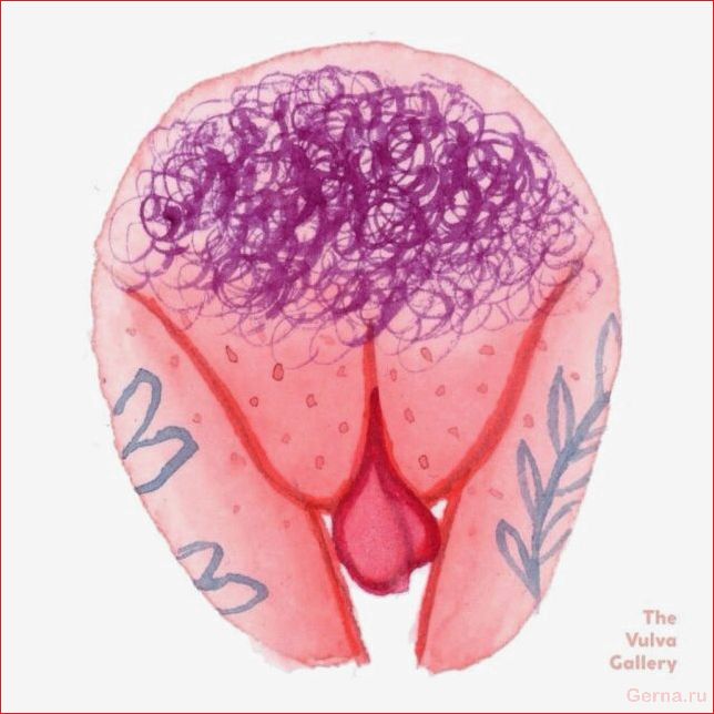 Какие бывают вагины у девушек (50 рисунков) vagina, girls, drawings