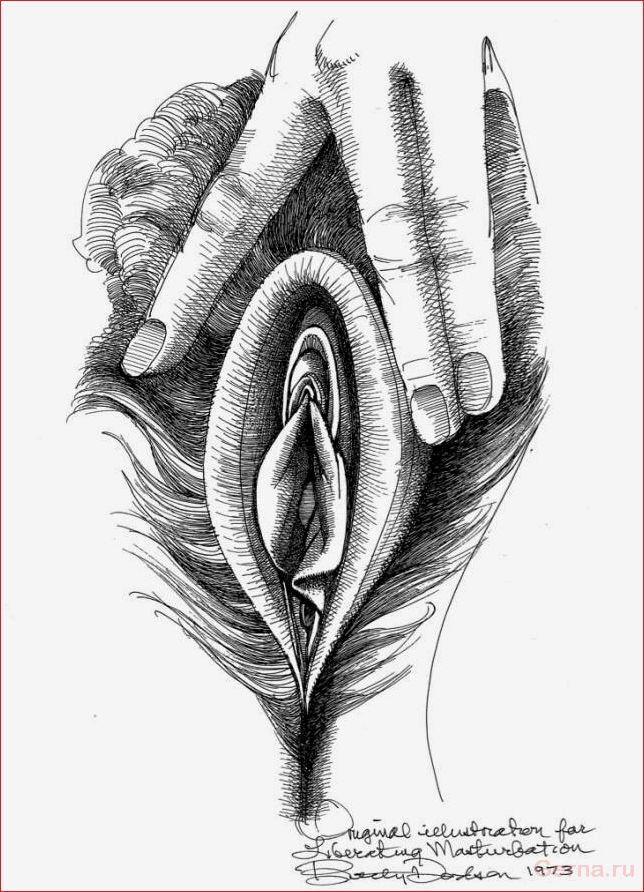 Какие бывают вагины у девушек (50 рисунков) vagina, girls, drawings