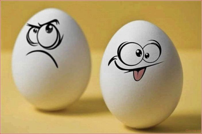 женщина, точки, зрения, мужчины