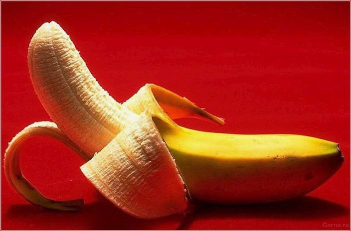 Länge, Dicke, Penis, denke, Mädchen