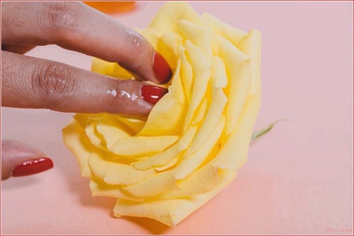 Как «делают» секс — инструкция для новичков и опытных любовников sex, instructions, beginners, experienced