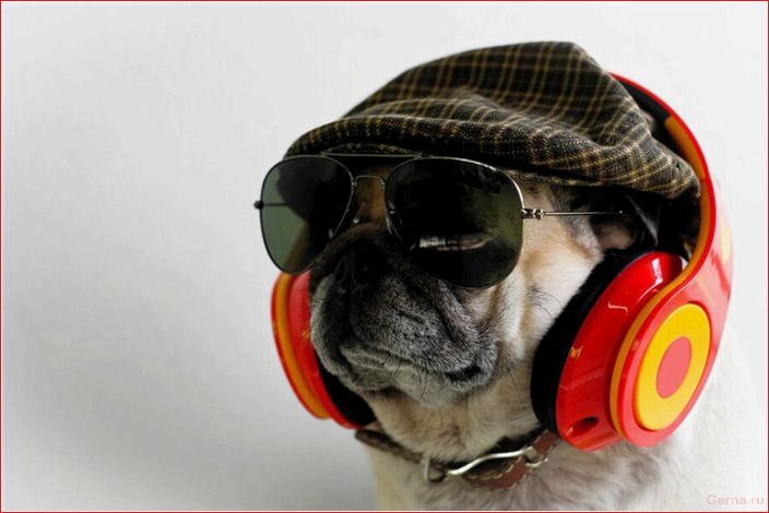 doggy, style, most, dangerous, sex