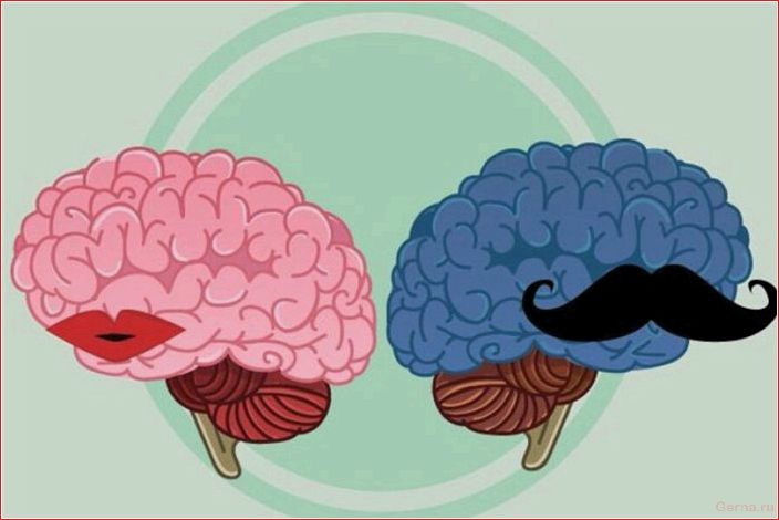 Откуда берется половое влечение у мужчин и женщин? Where does sexual desire in men come from
