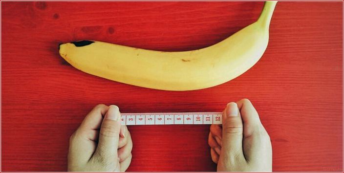 Perfekt, Größe, Penis
