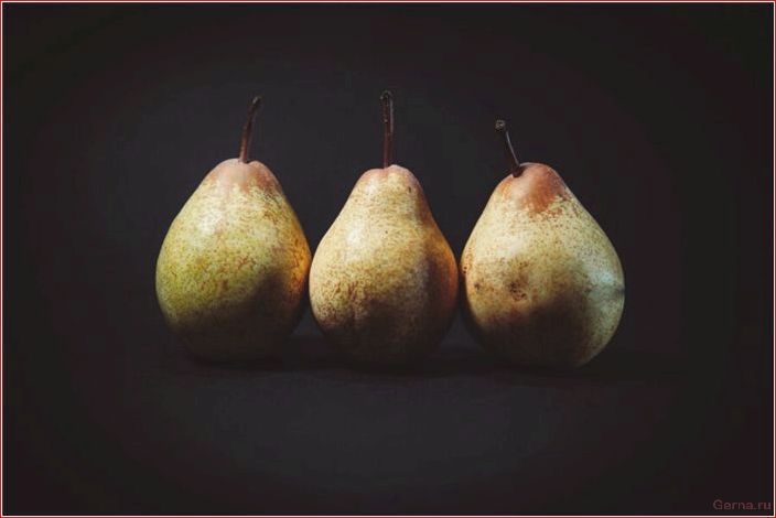 Всё самое интересное о сексе втроём interesting, sex, threesome