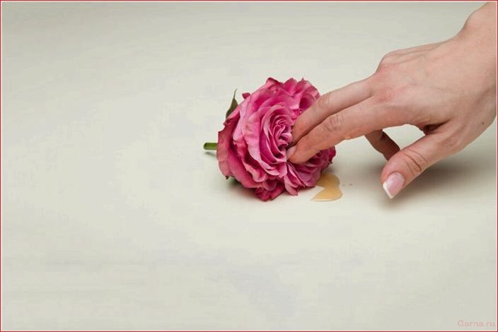 7 причин, почему у тебя сухое влагалище you, dry, vagina