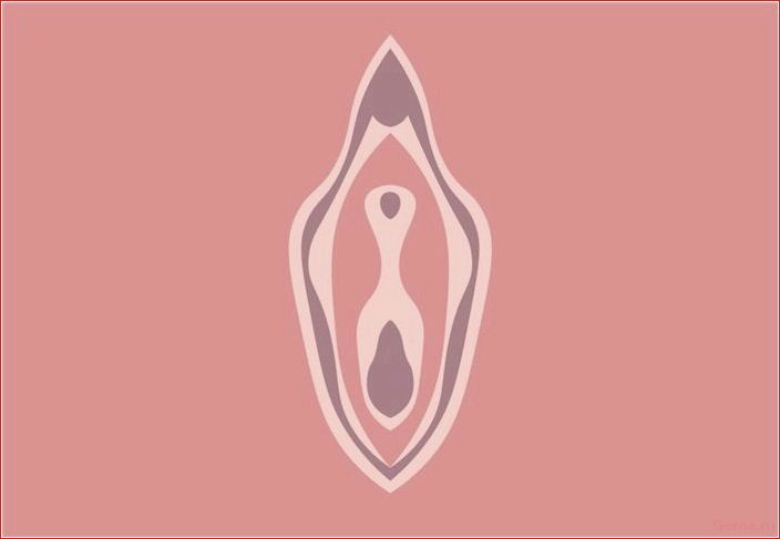 7 причин, почему у тебя сухое влагалище you, dry, vagina