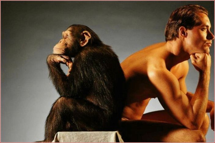 sex, made, monkey, human, new