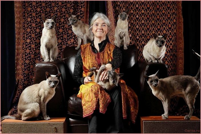 Всё про образ жизни женщин-кошатниц image, life, cat women