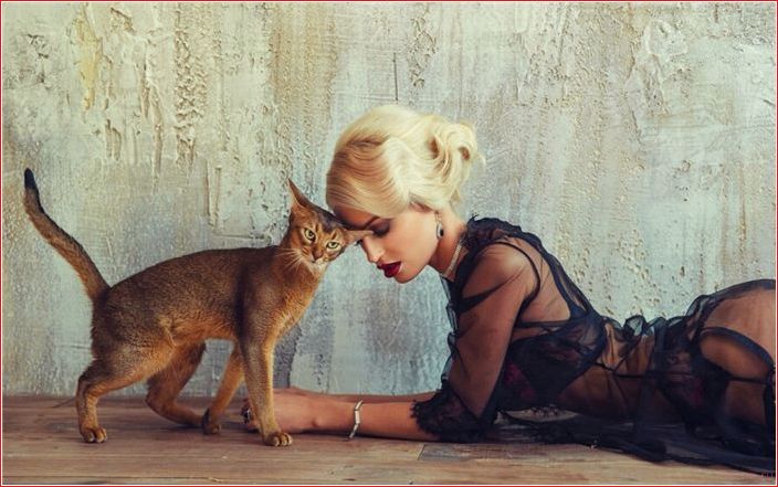 Всё про образ жизни женщин-кошатниц image, life, cat women