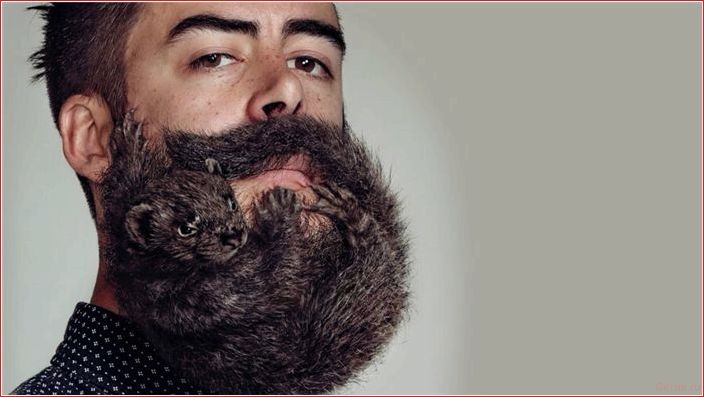 высокий, тестостерон, мужчин, хорошо, плохо