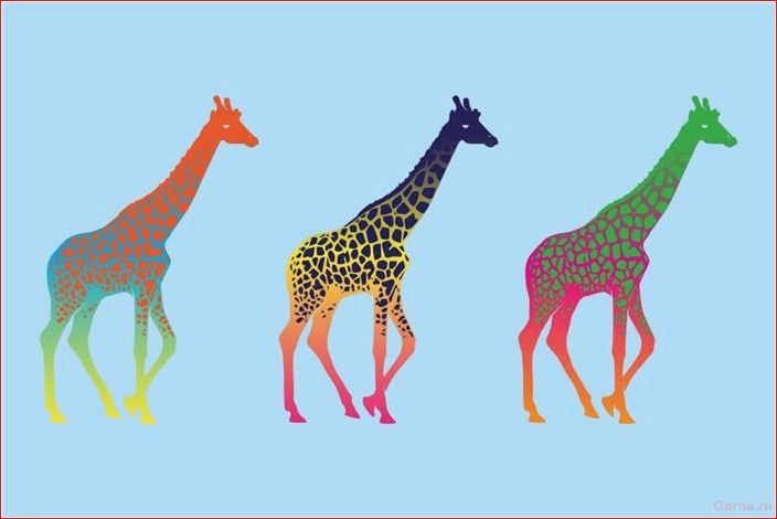 Animals, too, have sex