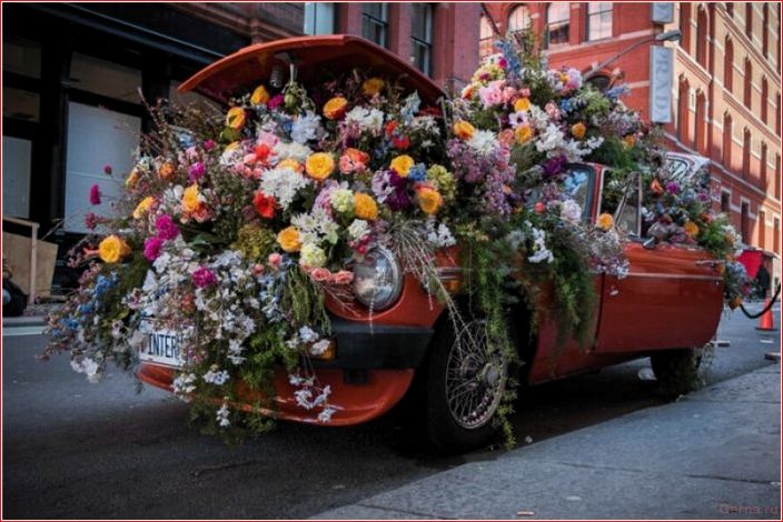 give, flowers, girl, nice, surprise