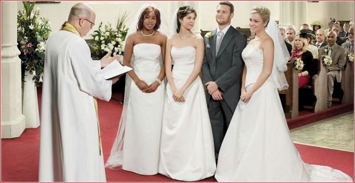 Polygamie, Monogamie, Antike, unsere Zeit
