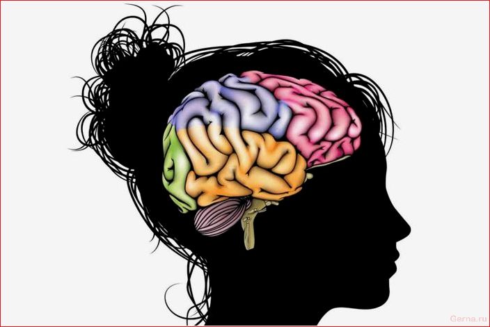 sex, affects, head, brain, men