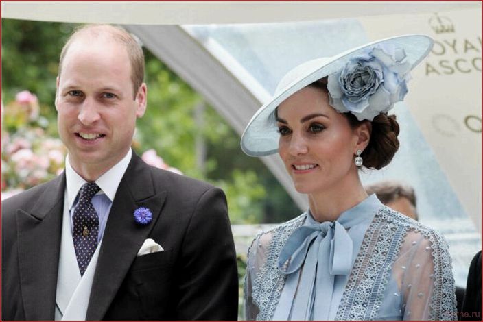 Royal, Rat, Beziehungen, Kate, Middleton