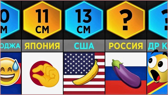 каков, средний, размер, мужского, члена