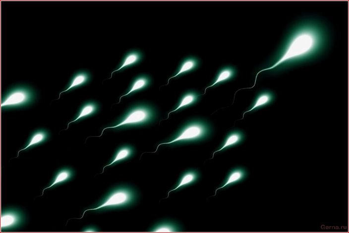 semen, father, microbiology, history, sperm