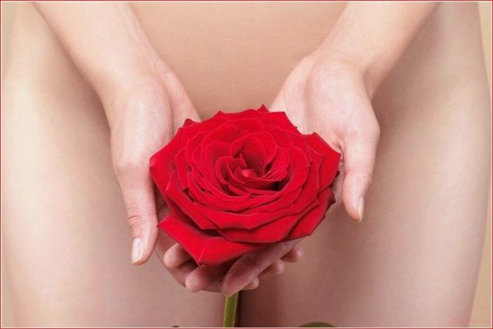 Клитор — это женский половой член, имеющий несколько другое строение clitoris, female, sexual, penis, having