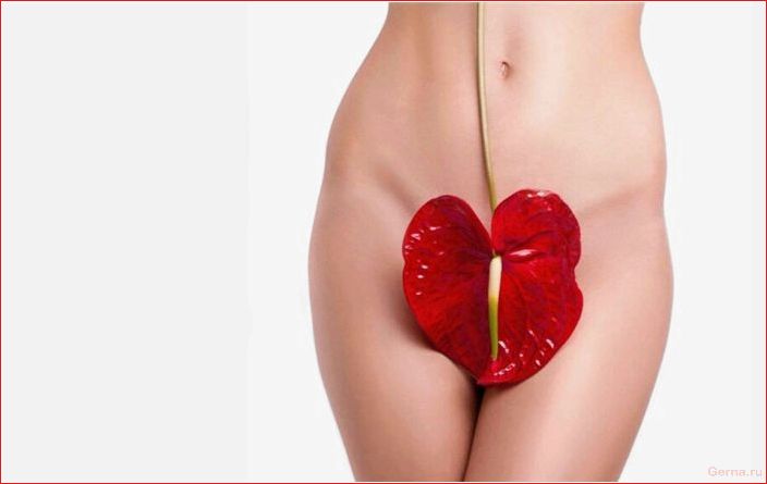 Клитор — это женский половой член, имеющий несколько другое строение clitoris, female, sexual, penis, having