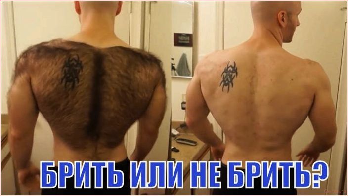 Нравятся ли женщинам волосы на груди мужчин? нравятся, женщинам, волосы, груди, мужчин