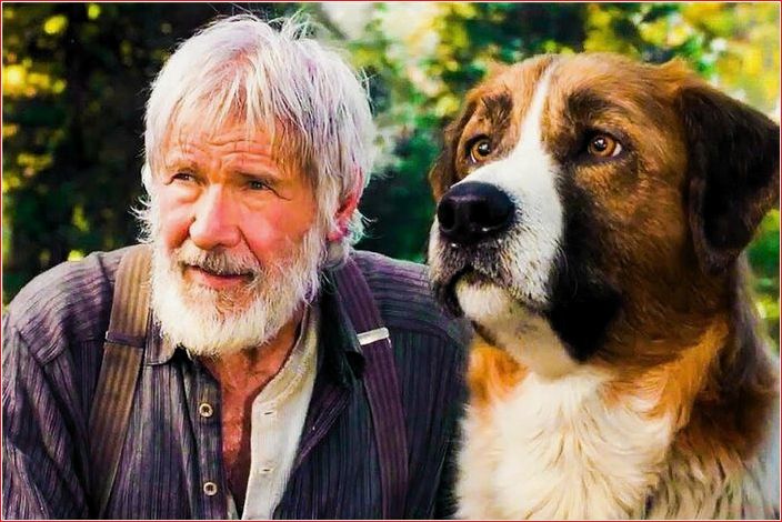 Most .. Movies, 2020