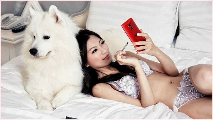 Пять стереотипных слухов об онлайн-знакомствах fünf, stereotyp, Gerüchte, Online-Dating