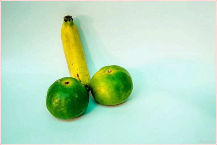 vegetables, phones, oil, contraindicated, replace