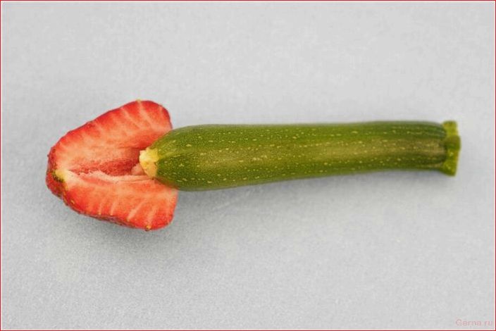 vegetables, phones, oil, contraindicated, replace