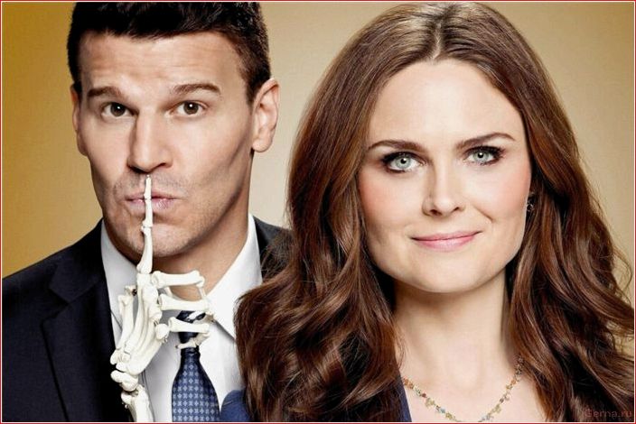 series, similar, bones, detectives, partners